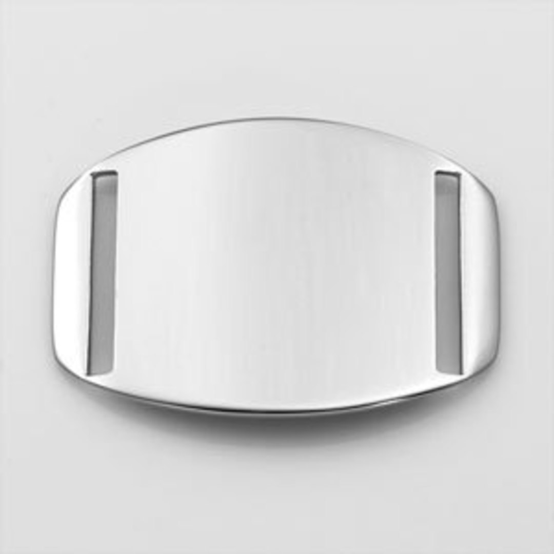 Stainless Steel Plain Plaque image 0